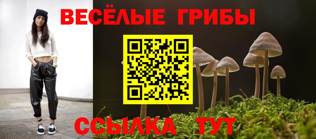 Псилоцибиновые грибы ЛСД  Вход с VPN  Вольск 